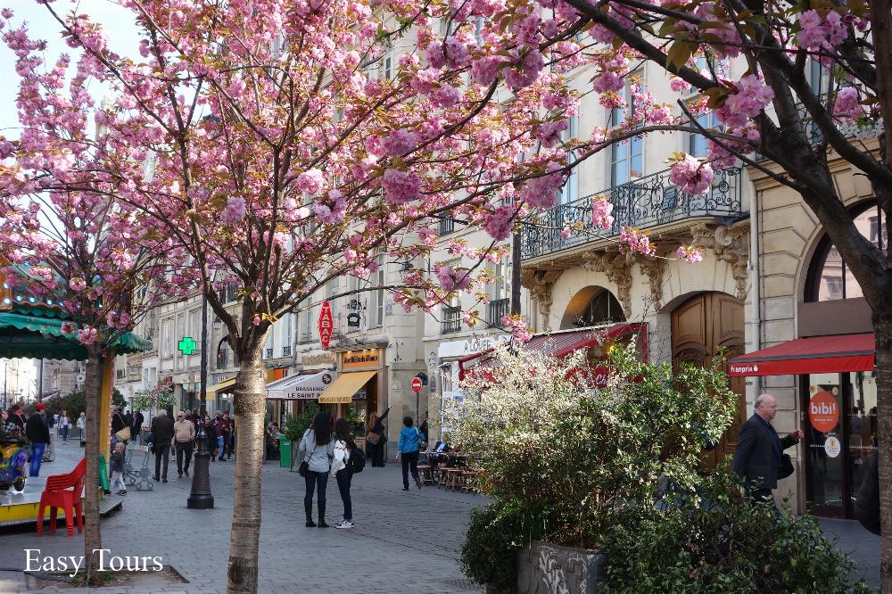 Paris is always a good idea.