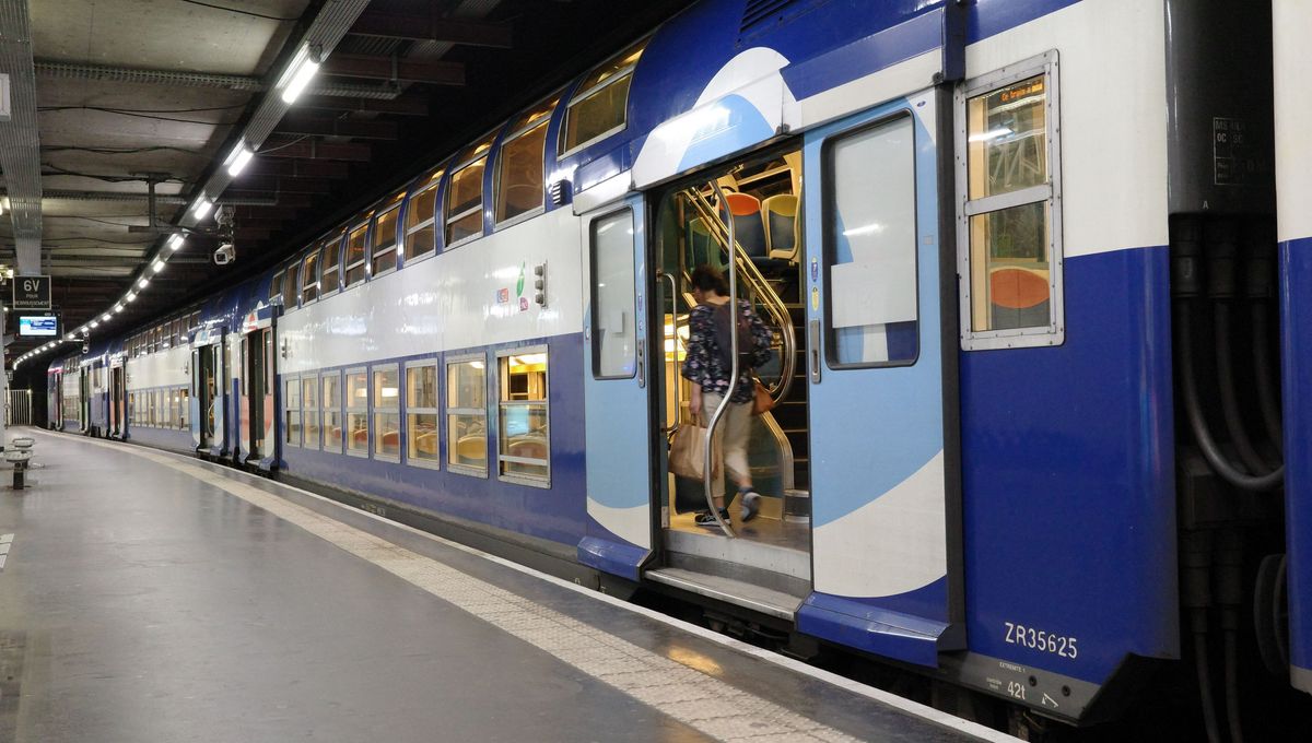 RER Trains – Best for Versailles, Smart Choice for CDG Airport