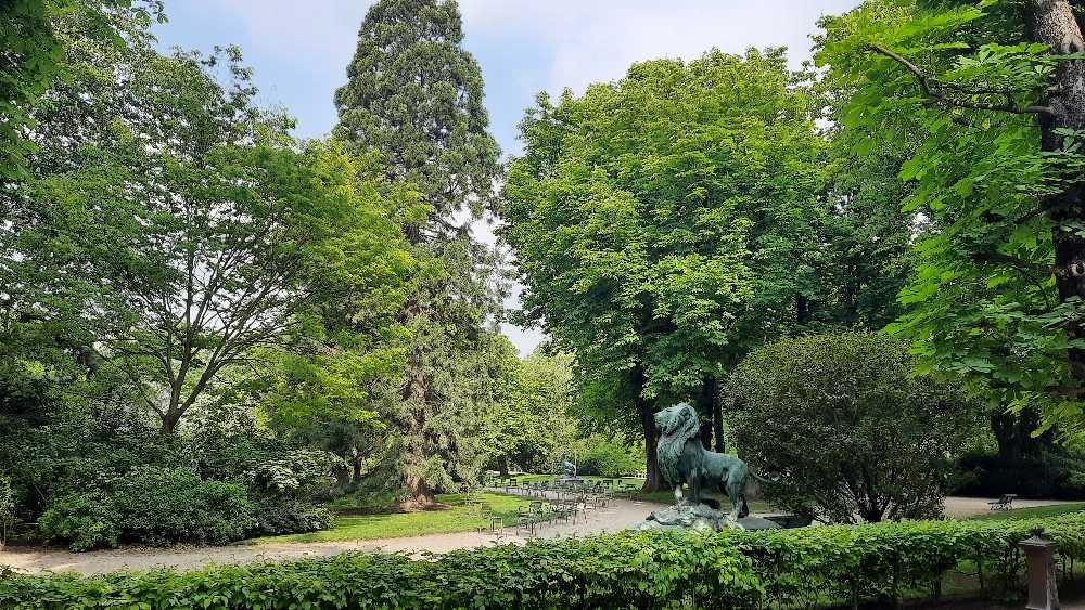 Paris is always a good idea.